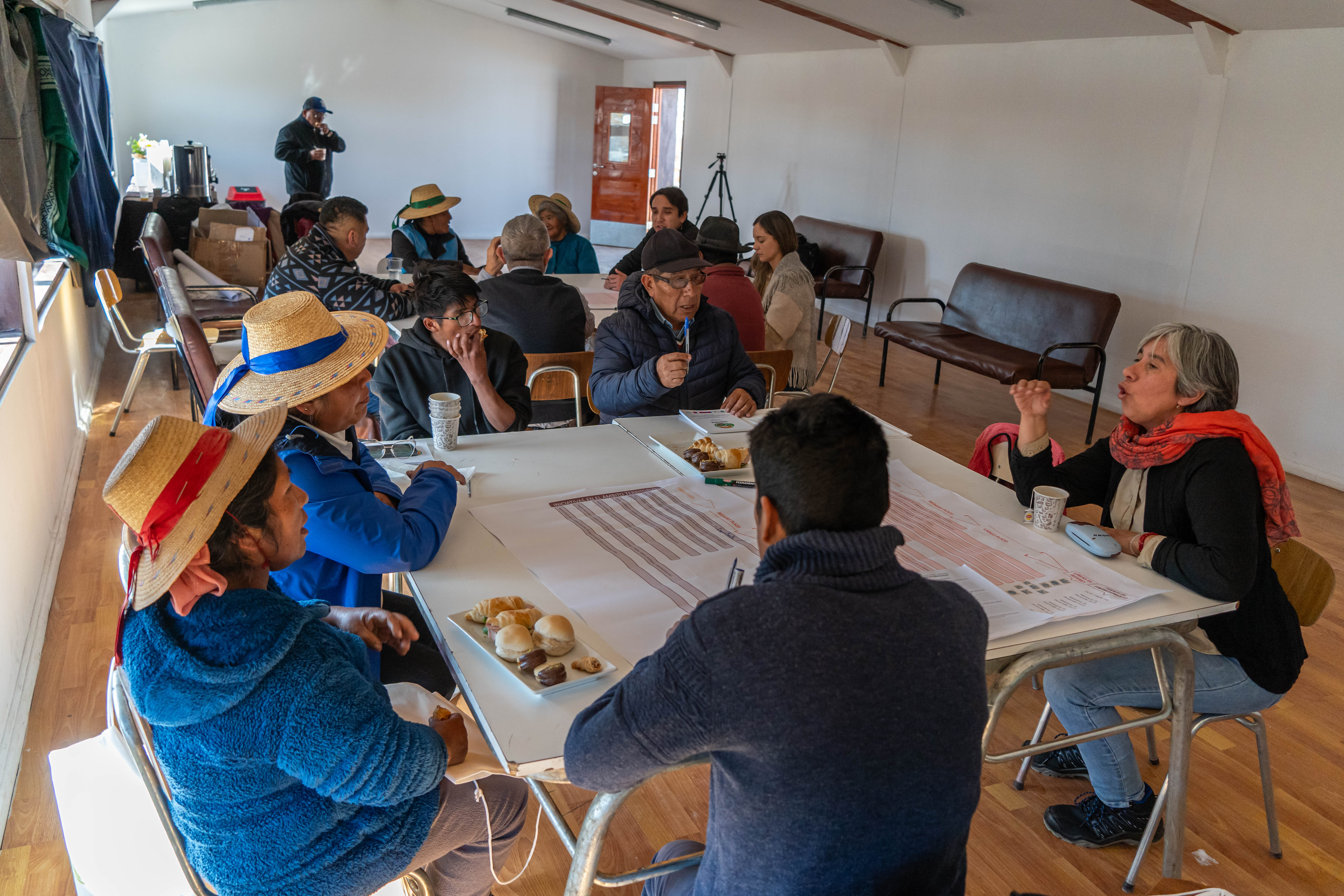 Actividad LabAncestral - Cariquima
