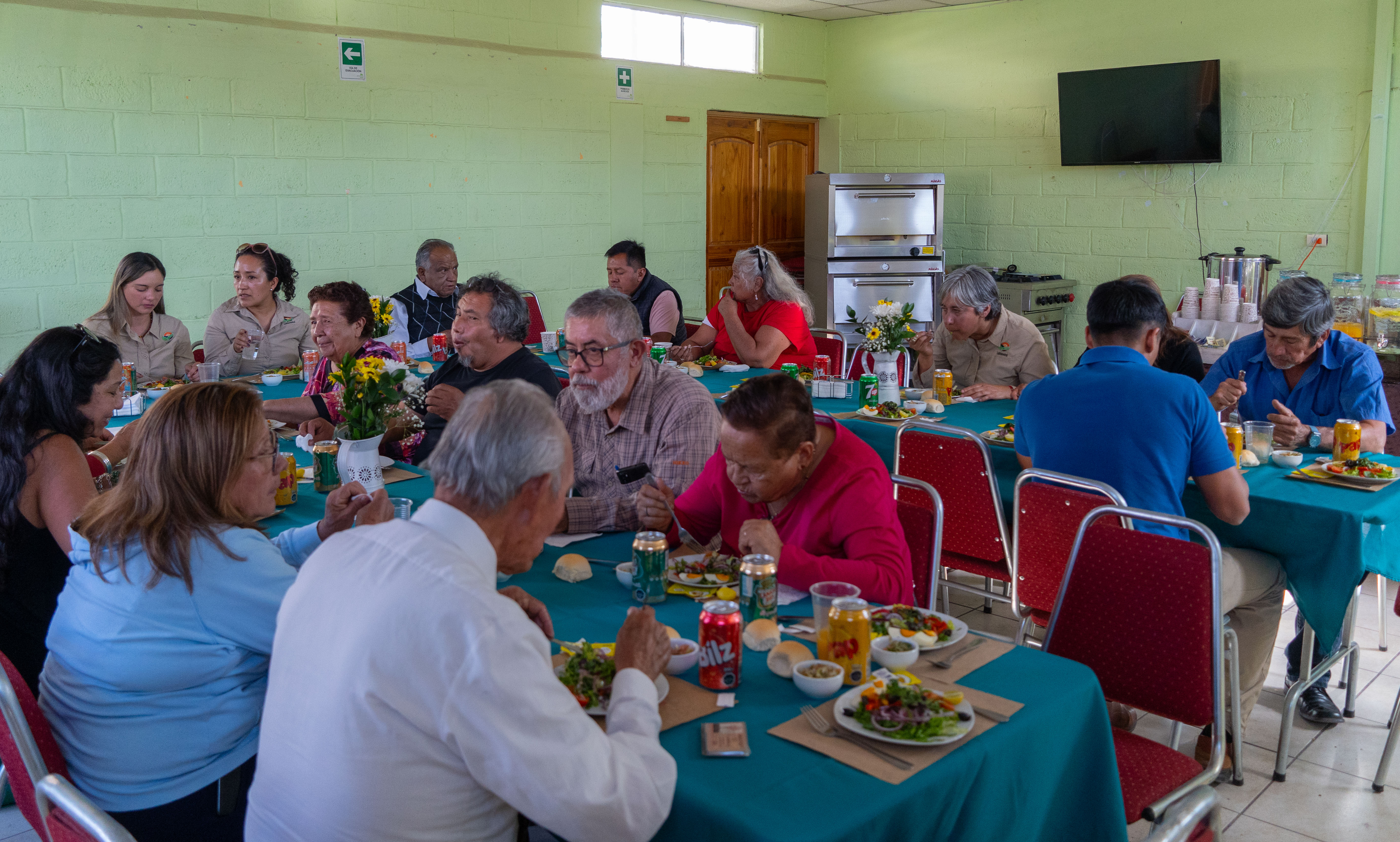 Actividad LabAncestral - Pica