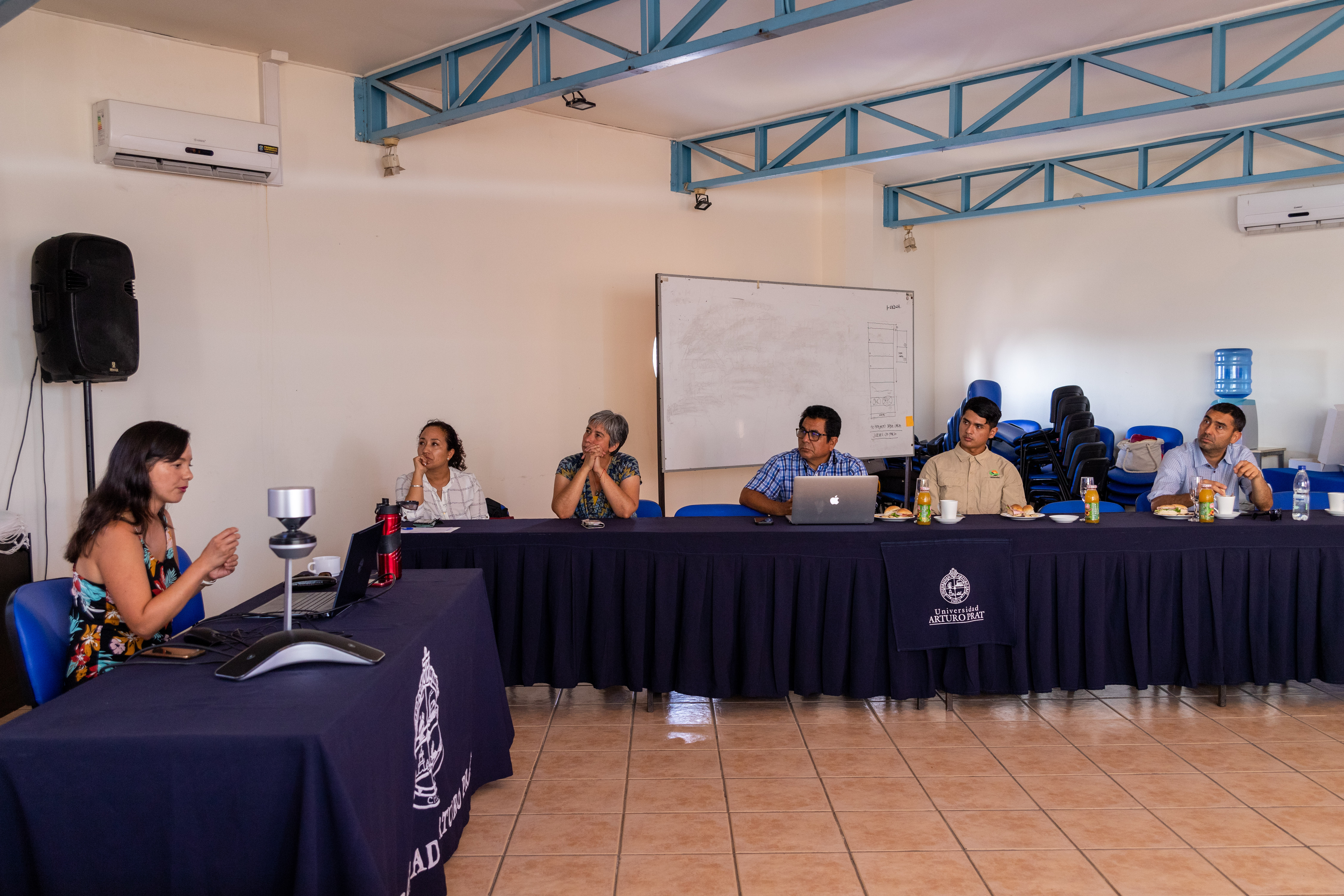 Reunión Comité Técnico